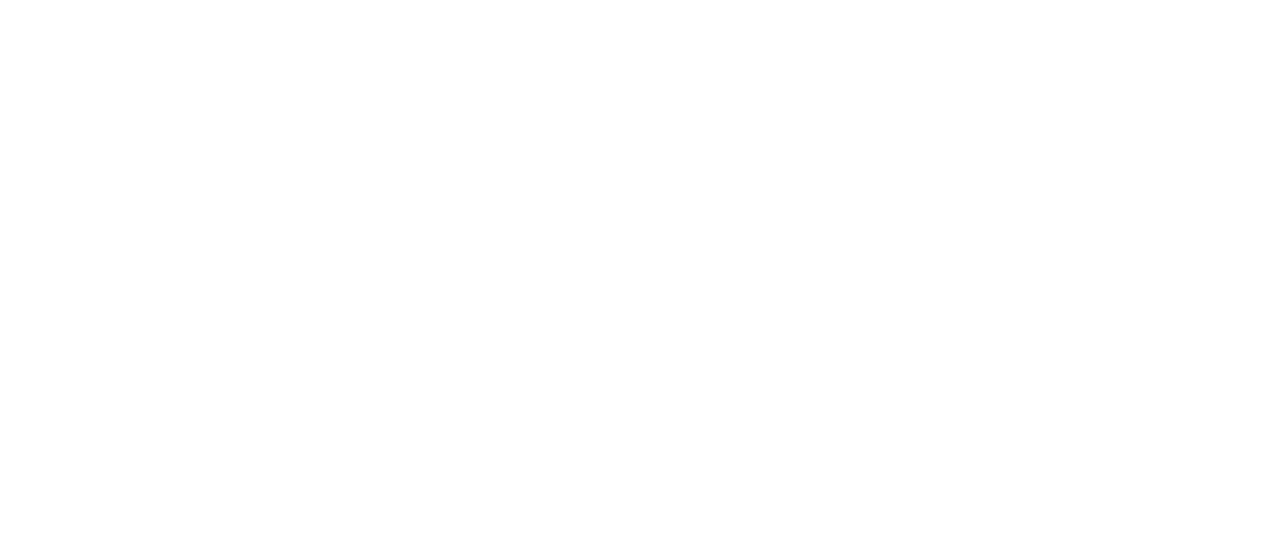 Solstyz Company Logo